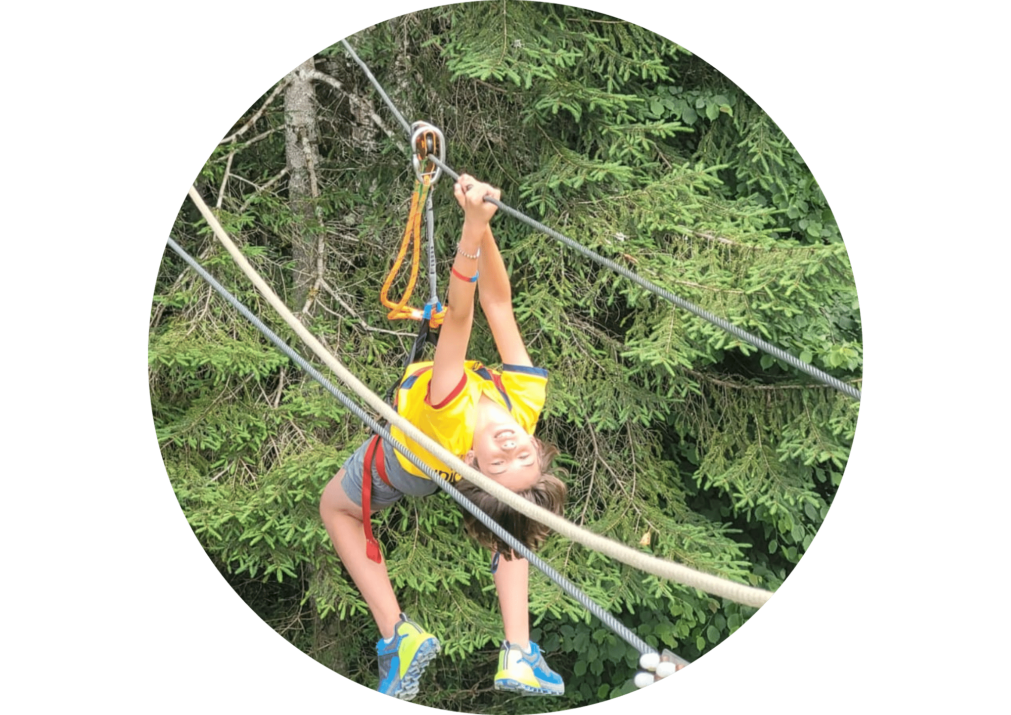 Treetop Adventure activity