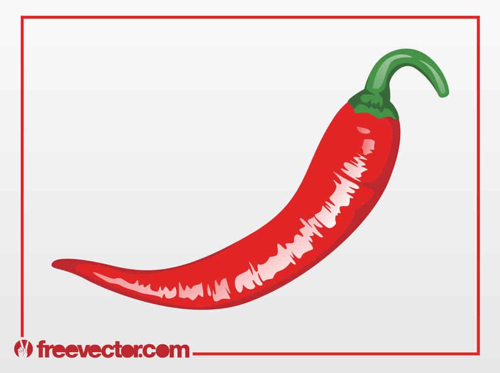 Chilly-Pepper-Vector