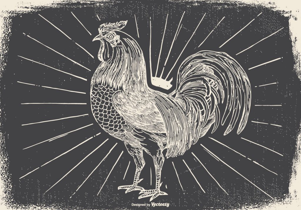 DD-Vintage-Rooster-Illustration-44323-Preview