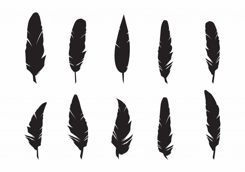 Feathers Silhouette Vector Set