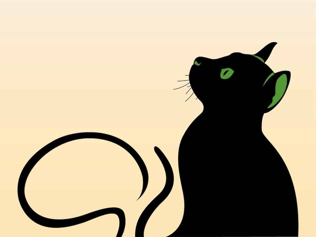 Cat-Graphics
