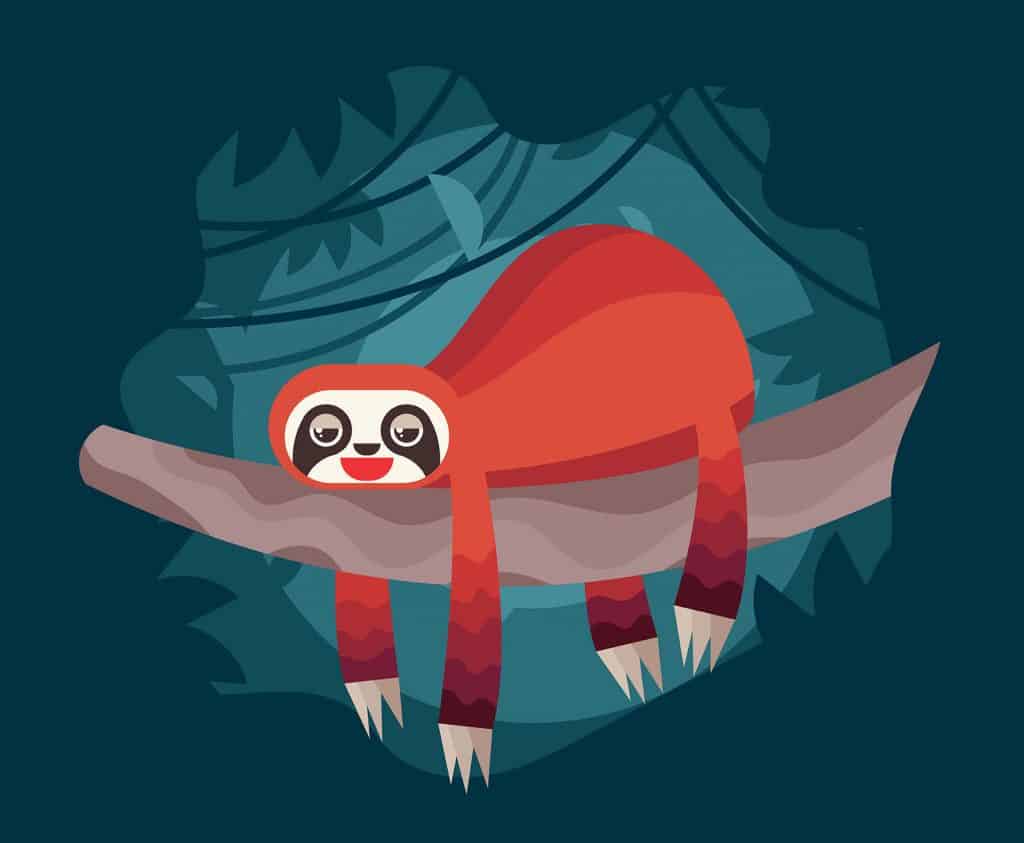 Sloth Illustration