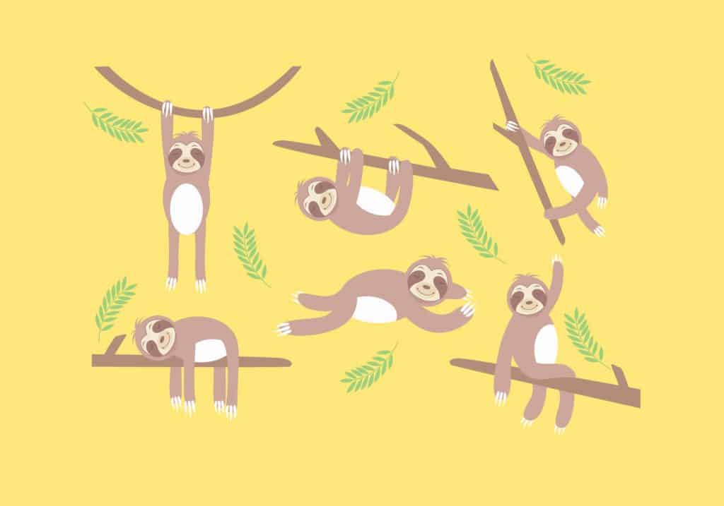 Sloth-Vector