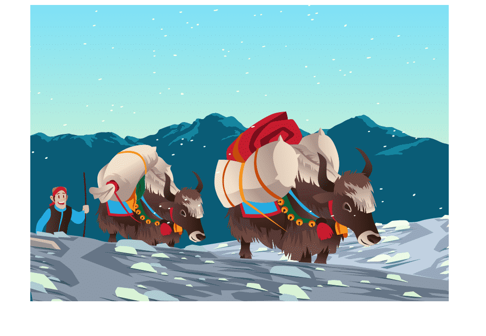Yaks Carrying Heavy Loads