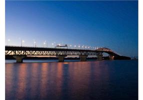 auckland-bridge-vector