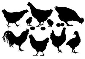 chicken-silhouette-vector