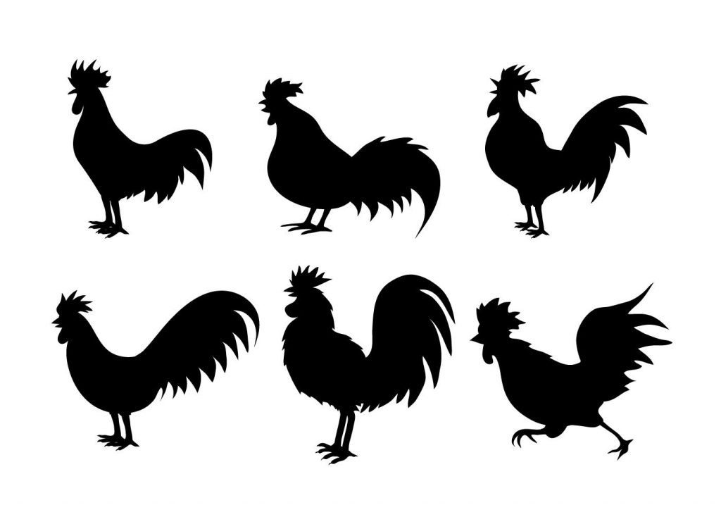 Chicken Silhouette Vectors
