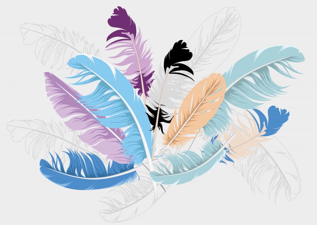 feather