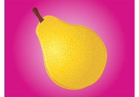 pear-vector